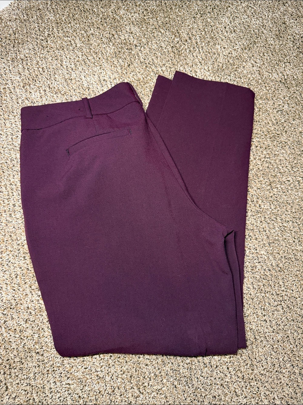 Worthington Women's Ankle Pants in Deep Plum